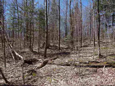 19259 Celotex, L'anse, MI 49946 photo 23