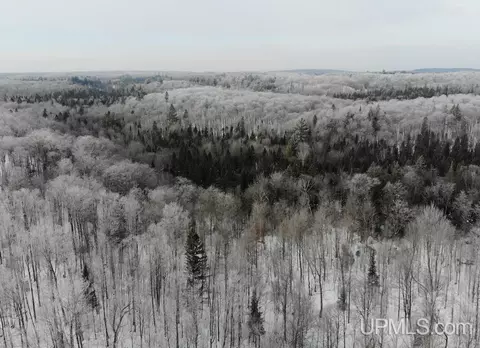 19259 Celotex, L'anse, MI 49946 photo 6