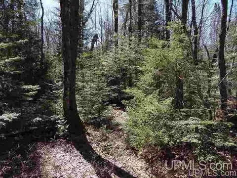 19259 Celotex, L'anse, MI 49946 photo 20