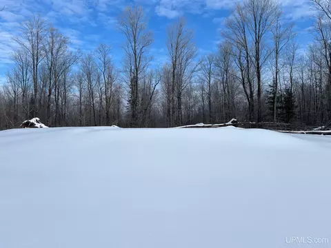 19259 Celotex, L'anse, MI 49946 photo 29