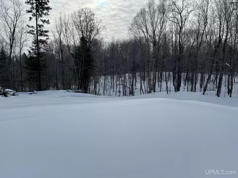 19259 Celotex, L'anse, MI 49946 photo 31