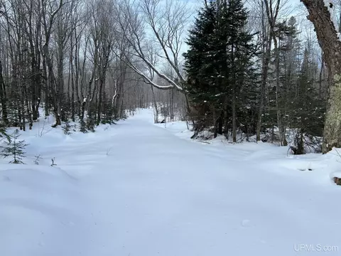 19259 Celotex, L'anse, MI 49946 photo 15