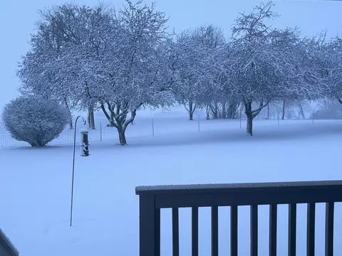 View/Area - 198 Primrose, Flushing, MI 48433 photo 2 of 2