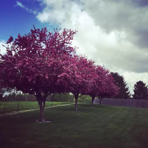 View/Area - 198 Primrose, Flushing, MI 48433 photo 1 of 2