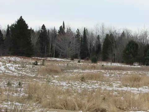 Off Golden, L'anse, MI 49946