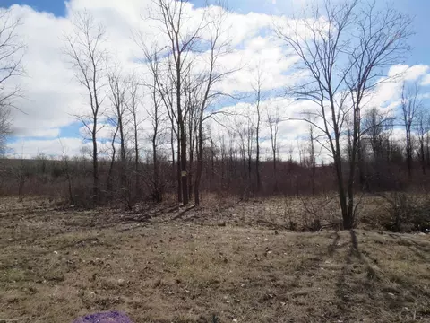 00 Gratiot, Lenox, MI 48048 photo 7
