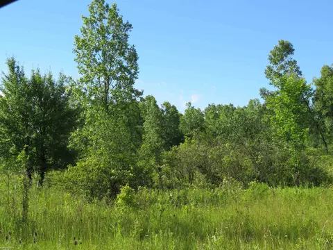 00 Gratiot, Lenox, MI 48048 photo 3