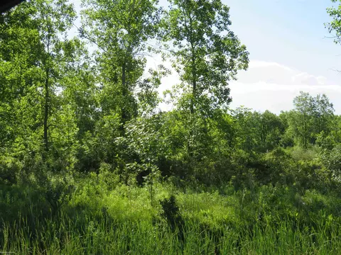 00 Gratiot, Lenox, MI 48048 photo 4