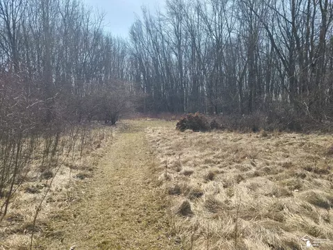 View/Area - 3867 Ohara, Carleton, MI 48117 photo 2 of 2
