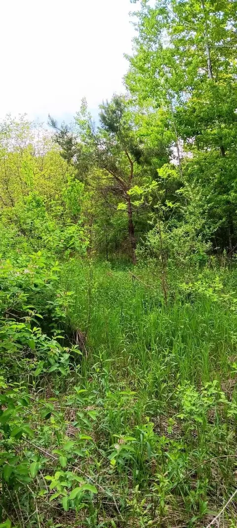 N Carter, Rhodes, MI 48652 photo 2