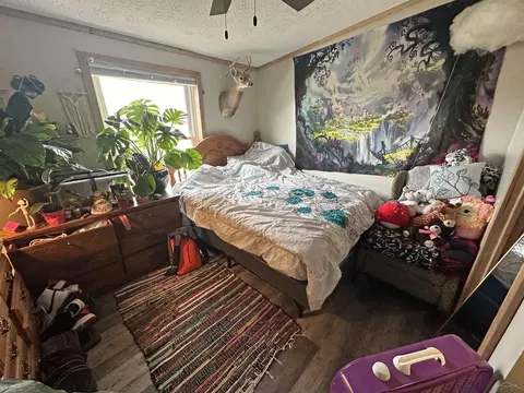 Bedroom - 1035 E Birch Run, Burt, MI 48417 photo 5 of 5