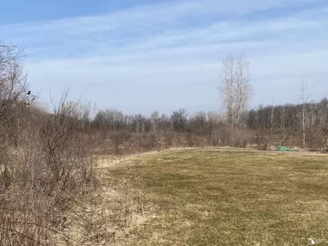 0 N St Anthony, Ottawa Lake, MI 49267