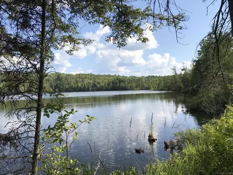 123 Pine Lndg, Crystal Falls, MI 49920