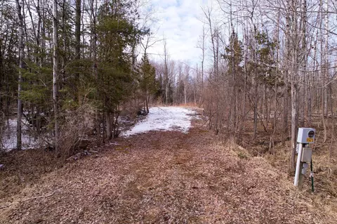 Lot 8 Brassie, Gladwin, MI 48624