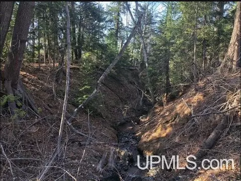 Tbd Pequaming, L'anse, MI 49946 photo 4