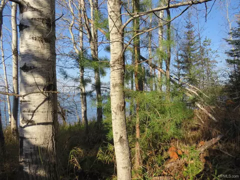 Tbd Pequaming, L'anse, MI 49946 photo 10