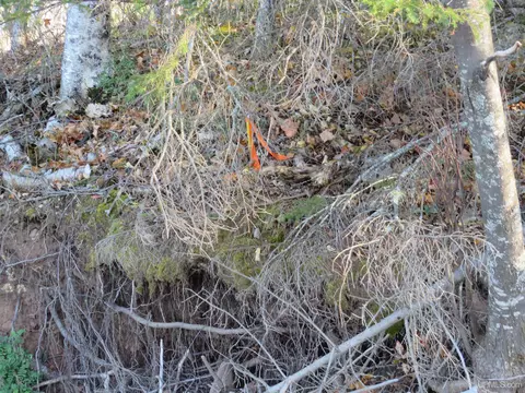 Tbd Pequaming, L'anse, MI 49946 photo 7