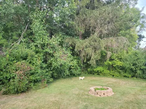 View/Area - 1137 Mildred, Flushing, MI 48433 photo 1 of 2
