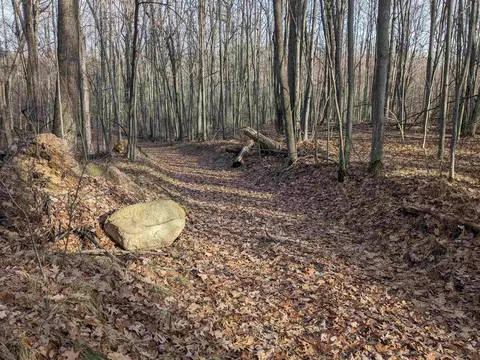 30 N Acres N Harrison, Harrison, MI 48625