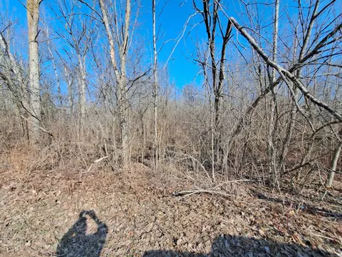 Tbd Witbeck, Clare, MI 48617 photo 2