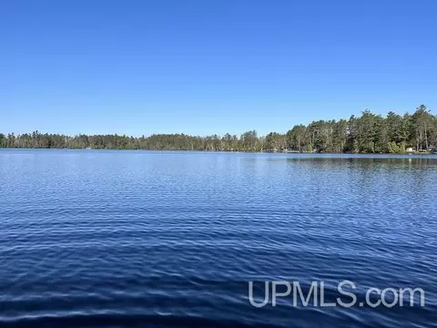 10 Acres East Bass Woods, Gwinn, MI 49841