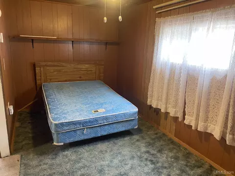5963 265, Brampton, MI 49837 photo 4
