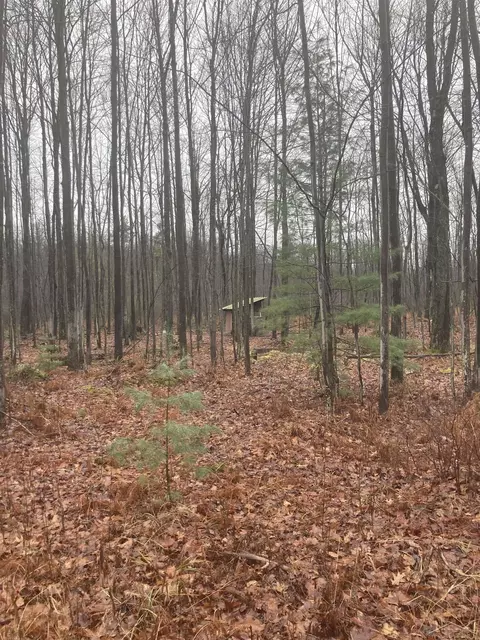 Keystone Common, Tawas City, MI 48763