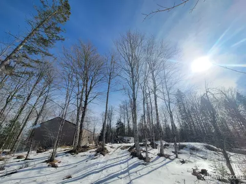 e12580 Carlson Road, Shingleton, MI 49884 photo 26