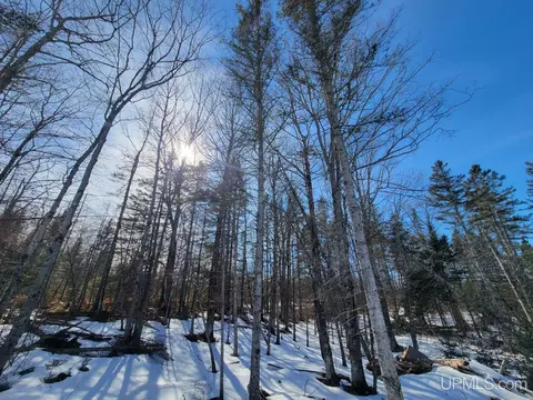 e12580 Carlson Road, Shingleton, MI 49884 photo 32