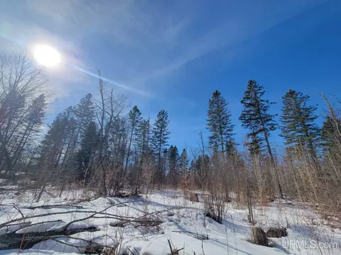 e12580 Carlson Road, Shingleton, MI 49884 photo 45