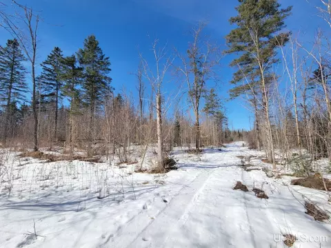 e12580 Carlson Road, Shingleton, MI 49884 photo 30