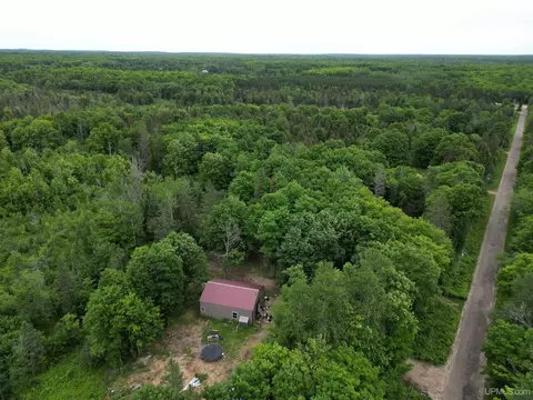 e12580 Carlson Road, Shingleton, MI 49884