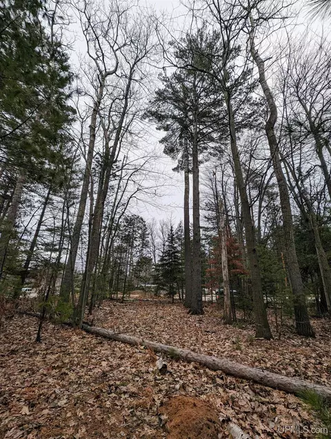 1439 Wright, Marquette, MI 49855 photo 8