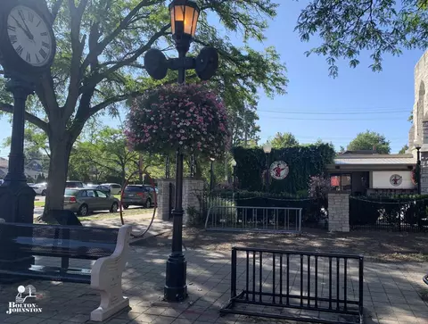 View/Area - 1169 Buckingham Rd, Grosse Pointe Park, MI 48230 photo 3 of 3