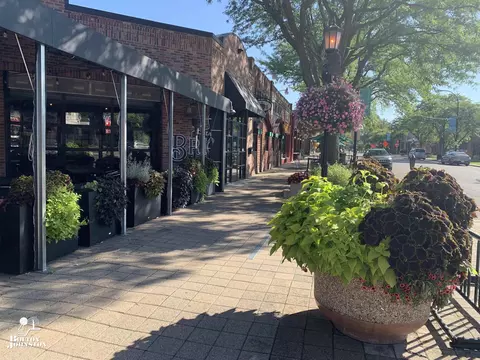 Exterior - 1169 Buckingham Rd, Grosse Pointe Park, MI 48230 photo 11 of 11