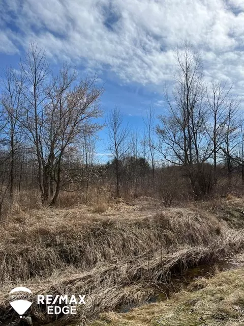 0 Block, Birch Run, MI 48415 photo 3