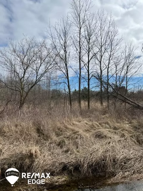 0 Block, Birch Run, MI 48415 photo 4