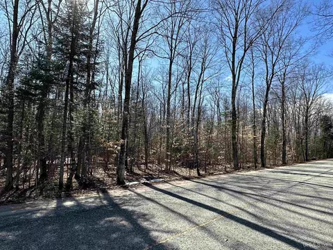 Tbd W Co Rd 448, Manistique, MI 49854