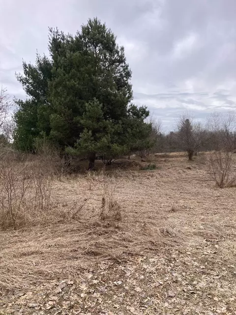 5160 Chappel Dm, Gladwin, MI 48624 photo 13