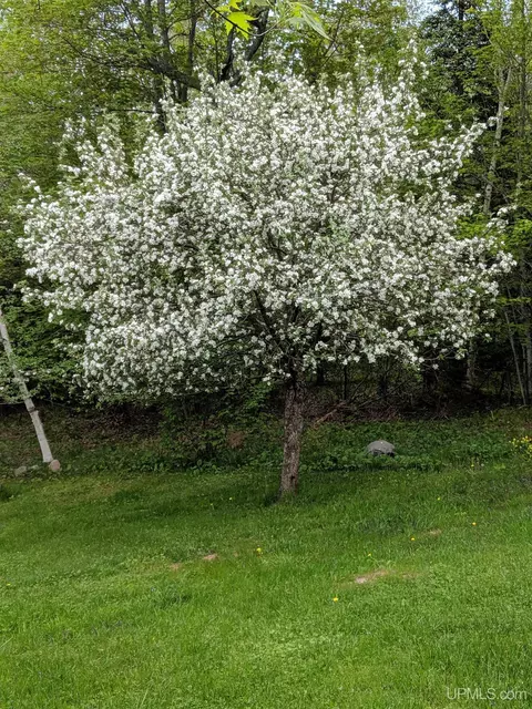 Exterior - 19 Birch, Ishpeming, MI 49849 photo 21 of 23