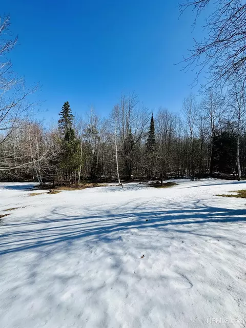 Exterior - 19 Birch, Ishpeming, MI 49849 photo 8 of 23
