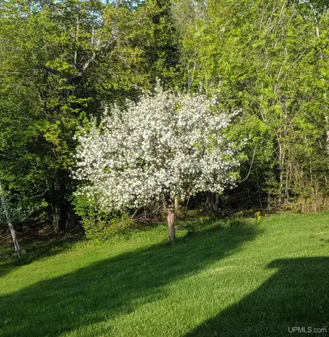 Exterior - 19 Birch, Ishpeming, MI 49849 photo 22 of 23