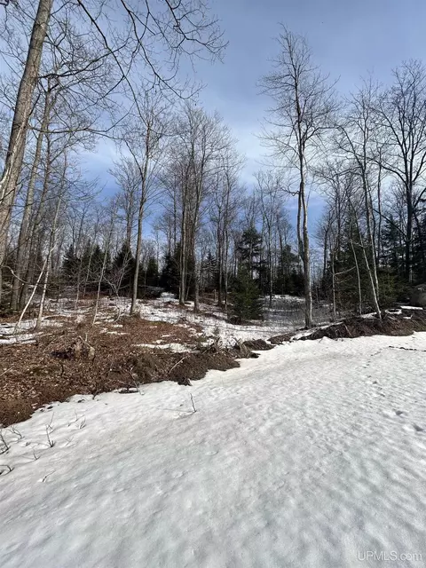 Parcel 1b Bridgeview, Negaunee, MI 49866 photo 14