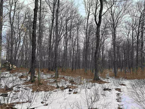 Parcel 1b Bridgeview, Negaunee, MI 49866 photo 9