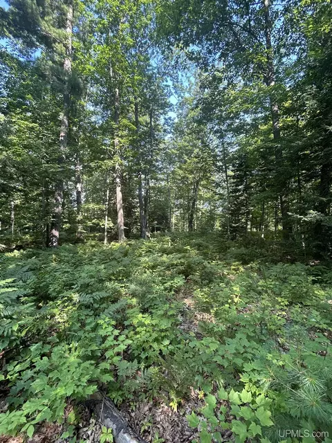 Parcel 1b Bridgeview, Negaunee, MI 49866 photo 5