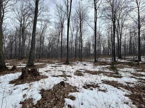 Parcel 1b Bridgeview, Negaunee, MI 49866 photo 13