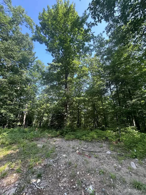 Parcel 1b Bridgeview, Negaunee, MI 49866