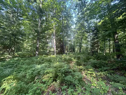 Parcel 1b Bridgeview, Negaunee, MI 49866 photo 3