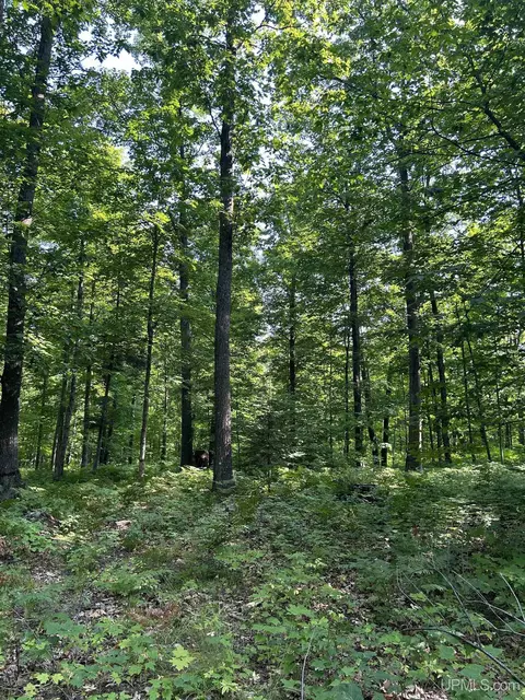 Parcel 1b Bridgeview, Negaunee, MI 49866 photo 2