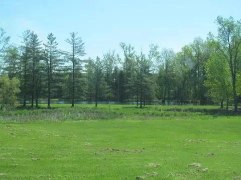 View/Area - 8508 Sawdey, Jerome, MI 49249 photo 3 of 9